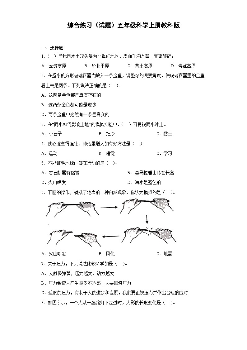 综合练习（试题）五年级上册科学教科版01