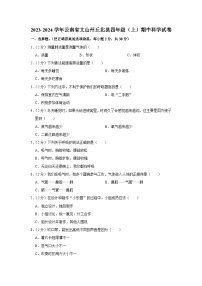 云南省文山州丘北县2023-2024学年四年级上学期期中科学试卷