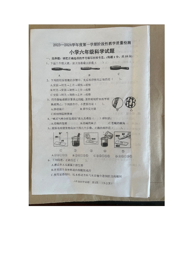山东省菏泽市鄄城县2023-2024学年六年级上学期11月期中科学试题01