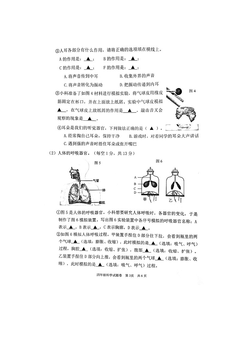 浙江省丽水市庆元县部分校2023-2024学年四年级上学期期中检测科学试题03
