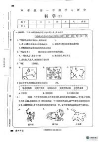 山东省德州市宁津县二校2023-2024学年六年级上学期11月期中科学试题