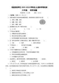 四川省自贡市蜀光绿盛实验学校2023-2024学年六年级上学期期中考试科学试题