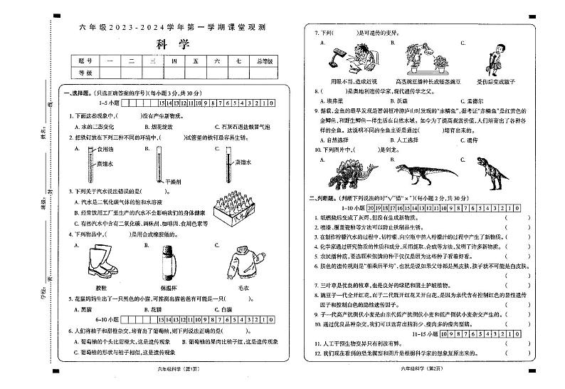 山西省大同地区2023-2024学年六年级上学期期中课堂观测科学试卷01