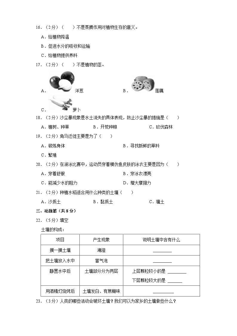 山东省潍坊市寒亭区多校联考2023-2024学年三年级上学期期中科学试卷02
