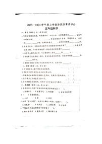 山东省临沂市罗庄区2023-2024学年三年级上学期11月期中科学试题