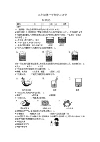 甘肃省庆阳市西峰区黄官寨实验学校2023-2024学年三年级上学期期中科学试卷