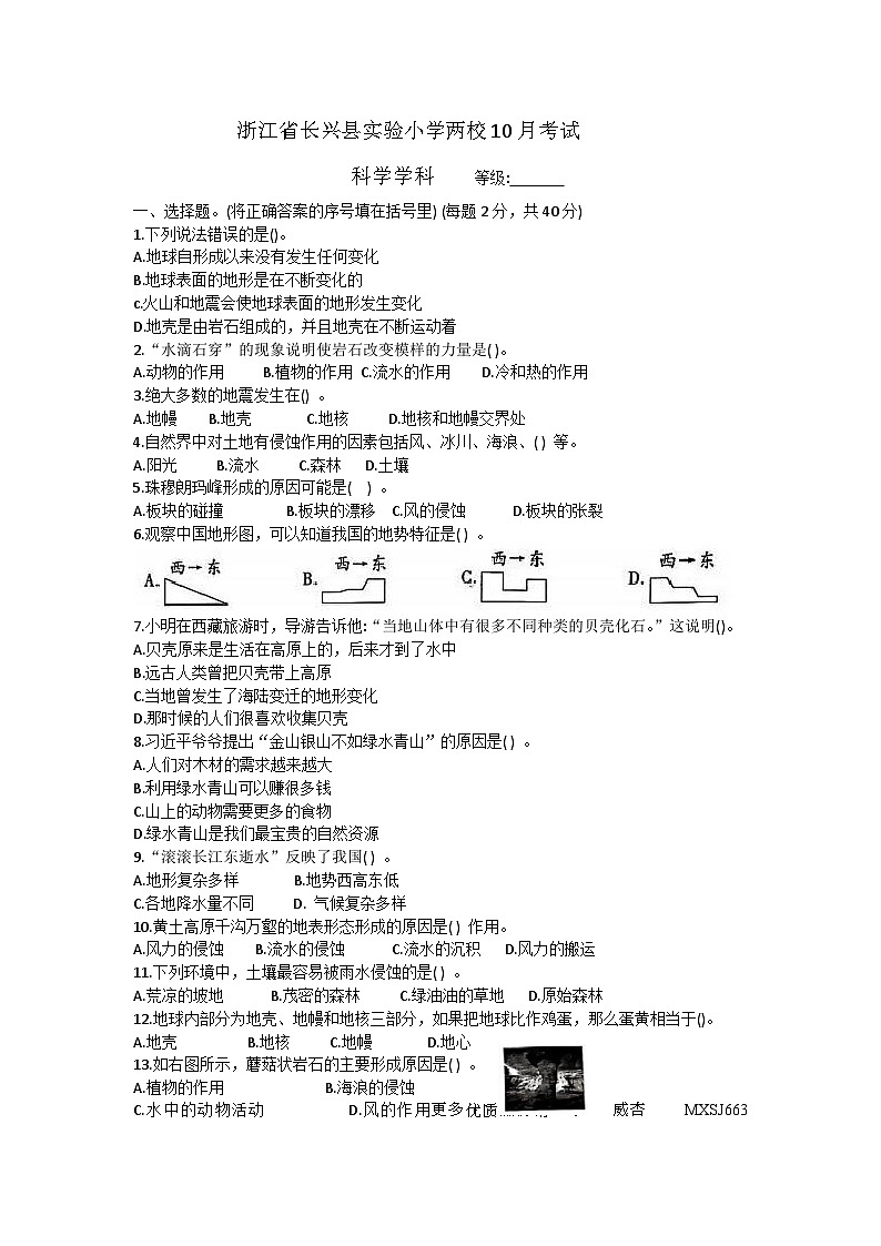 浙江省湖州市长兴县实验小学科学两校10月考试2023-2024学年五年级上学期11月月考科学试题01