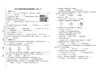 浙江省嘉兴市海盐县实验片联考2023-2024学年三年级上学期11月期中科学试题