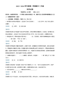 2023-2024学年宁夏中卫市中宁县长山头片区教科版三年级上册期中考试科学试卷（解析版）