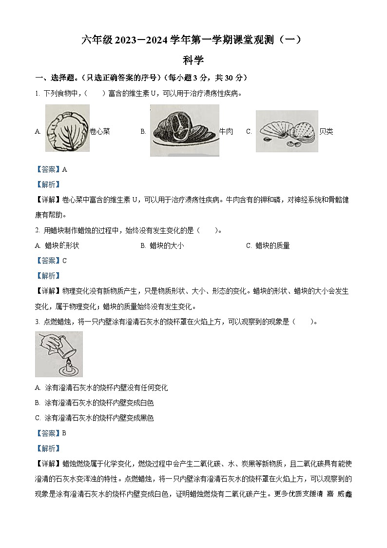 2023-2024学年山西省大同市左云县苏教版六年级上册10月月考科学试卷（一）（解析版）01
