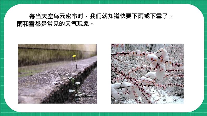 冀教版小学科学五年级下册  6.1  雨和雪  课件第5页