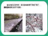 【核心素养】冀教版小学科学五年级下册 6.1 雨和雪   课件+教案(含教学反思)