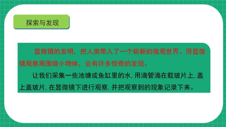 【核心素养】冀教版小学科学五年级下册 13.看不见的微生物 课件+教案(含教学反思)08