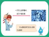 【核心素养】冀教版小学科学五年级下册    13.看不见的微生物     课件+教案(含教学反思)