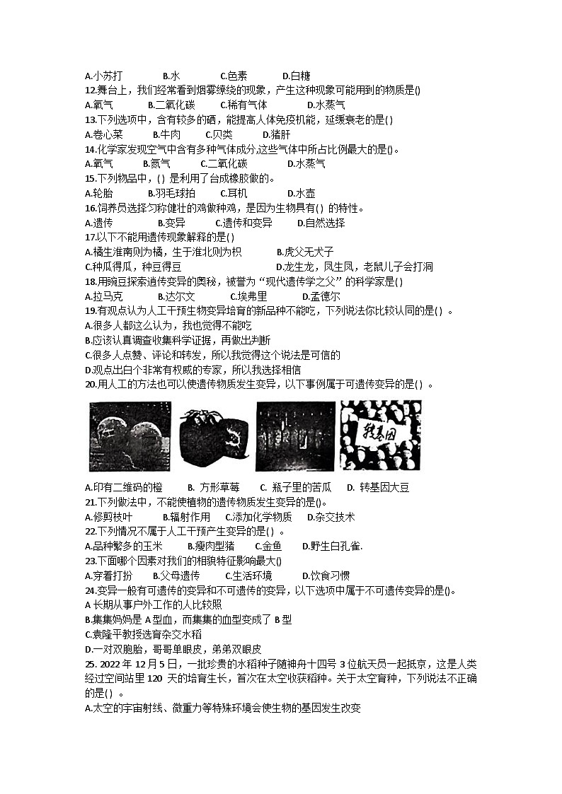 福建省厦门市集美区实验小学片区2023-2024学年六年级上学期科学期中试卷02