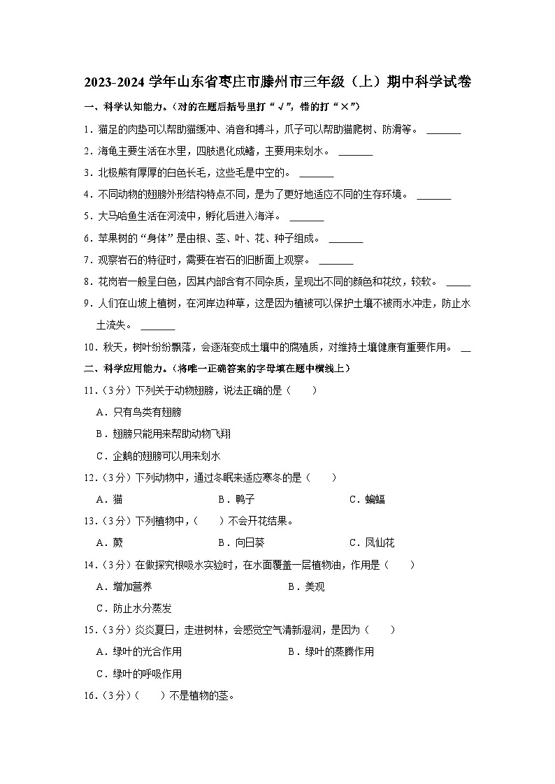 山东省枣庄市滕州市2023-2024学年三年级上学期期中科学试卷01