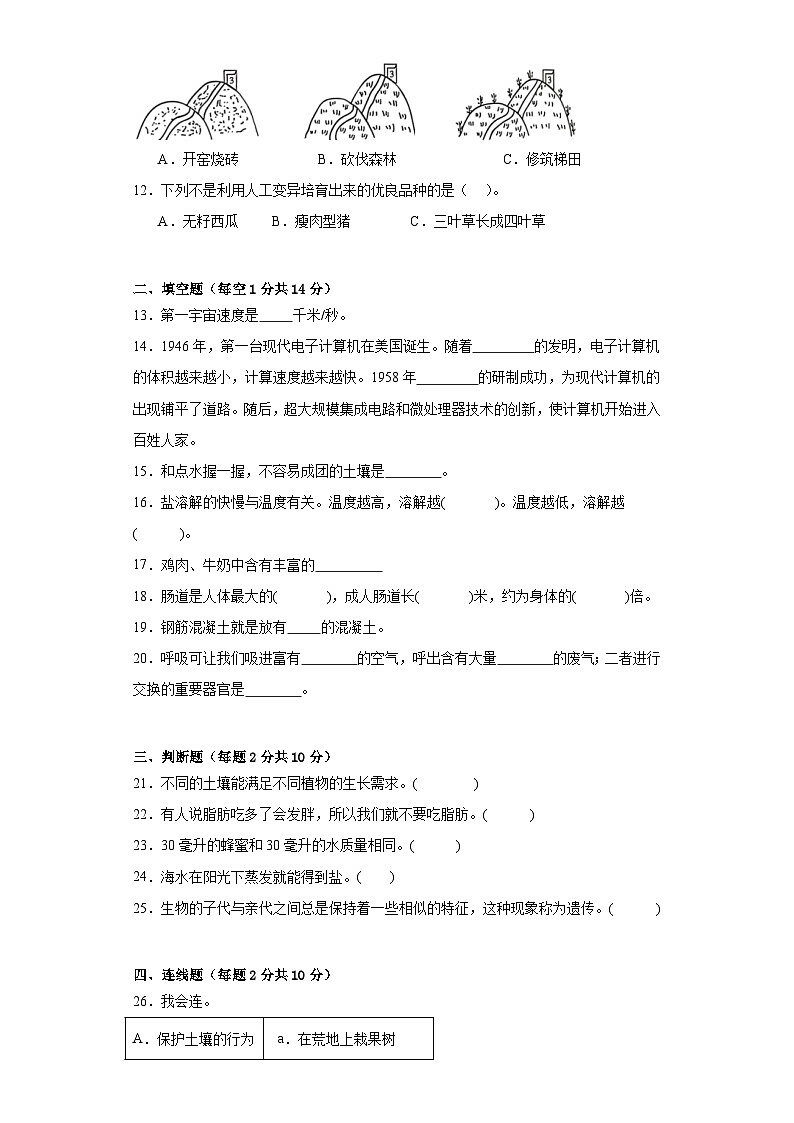 苏教版三年级科学上册期末质量测试卷（二）附答案02