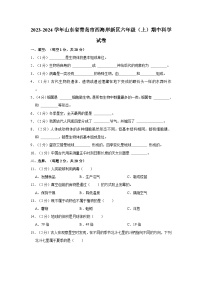 山东省青岛市西海岸新区2023-2024学年六年级上学期期中科学试卷