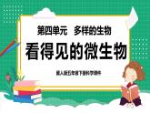 【核心素养】冀教版小学科学五年级下册 14. 看得见的微生物  课件+教案(含教学反思)