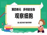 【核心素养】冀教版小学科学五年级下册 12.观察细胞 课件+教案(含教学反思)