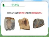 （2024）教科版版科学六年级下册-26《古代生物的多样性》PPT课件