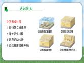 （2024）教科版版科学六年级下册-26《古代生物的多样性》PPT课件