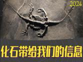 （2024）湘科版科学六年级下册-2-1《化石带给我们的信息》PPT课件