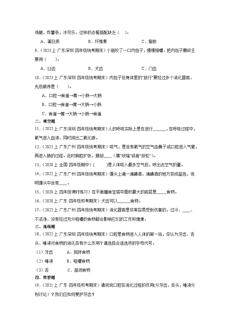 第二单元+呼吸与消化+-2023-2024学年四年级科学上册期末备考真题分类汇编+广东教科版地区第2页