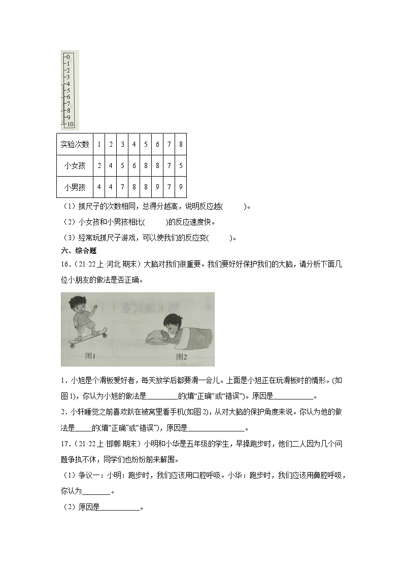 第二单元+健康与生活-2023-2024学年五年级科学上册期末备考真题分类汇编（冀人版）第3页