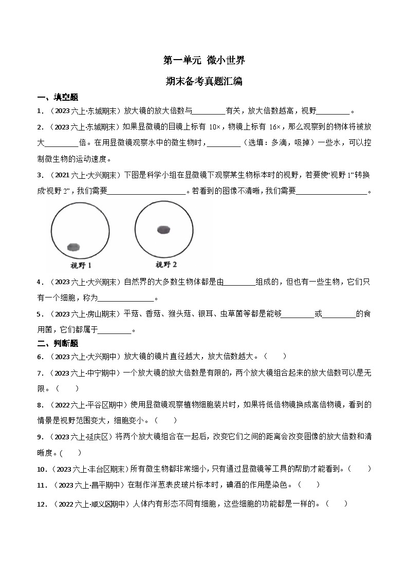 第一单元++微小世界-2023-2024学年六年级科学上册期末备考真题分类汇编（北京地区专版）第1页
