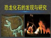 （2024）苏教版科学六年级上册-8《消失的恐龙》PPT课件