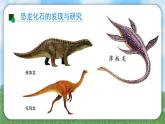 （2024）苏教版科学六年级上册-8《消失的恐龙》PPT课件