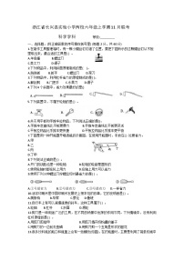 浙江省湖州市长兴县实验小学两校联考2023-2024学年六年级上学期11月月考科学试题