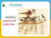（2024）粤教版科学六年级上册-20《寻找生物进化的证据》PPT课件