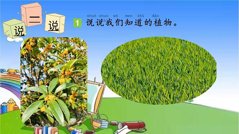 教科版（2017秋）小学科学一年级上册 1.1 我们知道的植物课件03