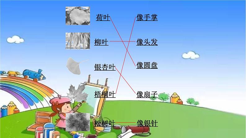 教科版（2017秋）小学科学一年级上册 1.3 观察叶 作业课件04