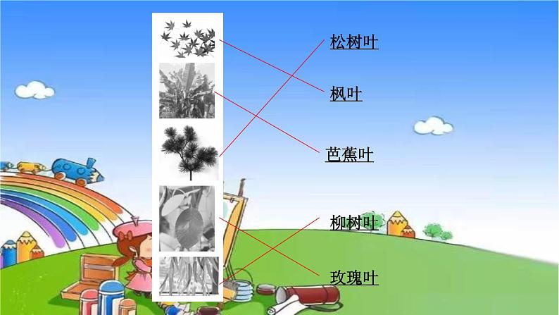 教科版（2017秋）小学科学一年级上册 1.4 这是谁的叶 作业课件第4页