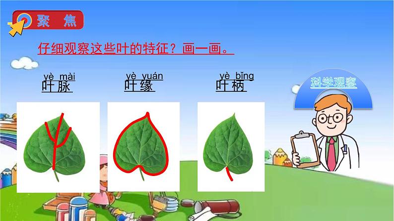 教科版（2017秋）小学科学一年级上册 1.4 这是谁的叶课件04