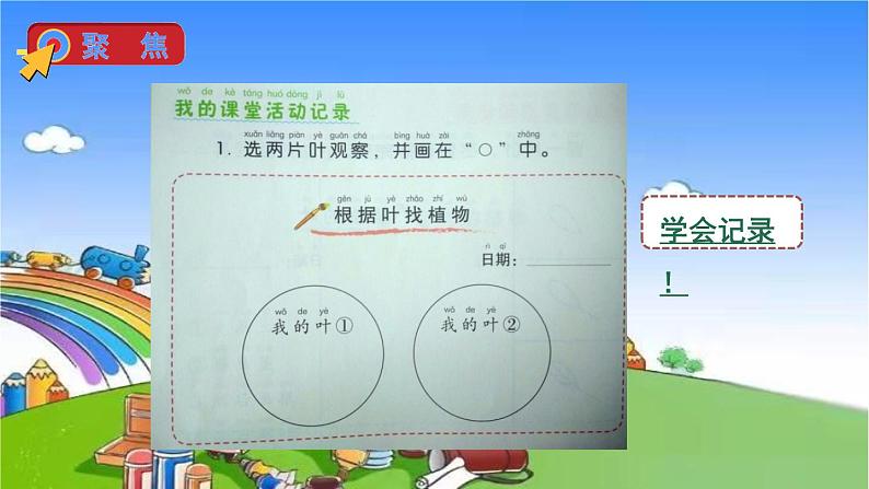 教科版（2017秋）小学科学一年级上册 1.4 这是谁的叶课件05