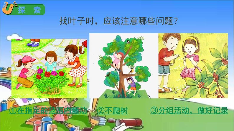 教科版（2017秋）小学科学一年级上册 1.4 这是谁的叶课件08