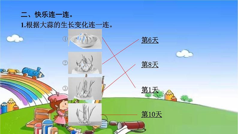 教科版（2017秋）小学科学一年级上册 1.5 植物是“活”的吗 作业课件05