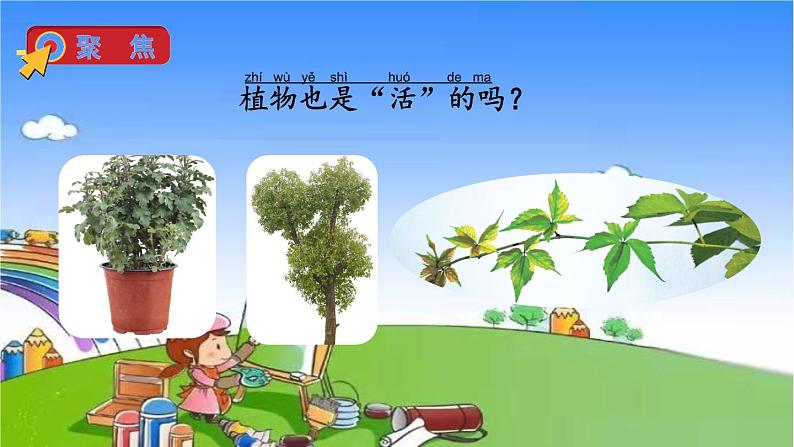 教科版（2017秋）小学科学一年级上册 1.5 植物是活的吗课件04