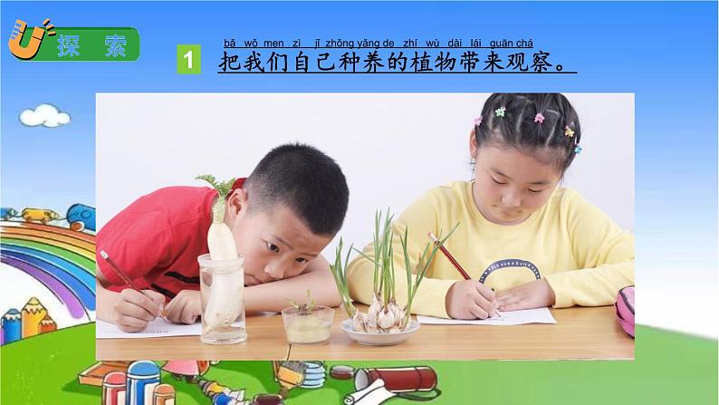 教科版（2017秋）小学科学一年级上册 1.5 植物是活的吗课件05