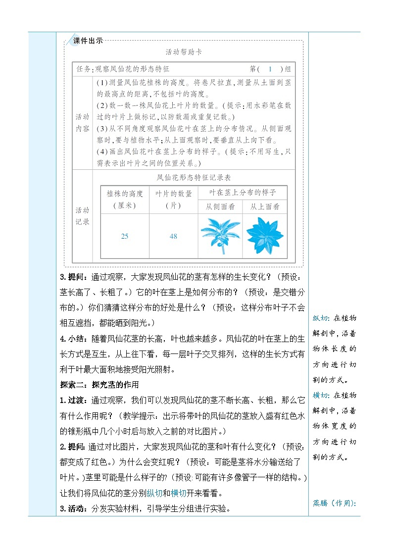 教科版(2017秋)科学四年级下册 第一单元 第四课 茎和叶教案03