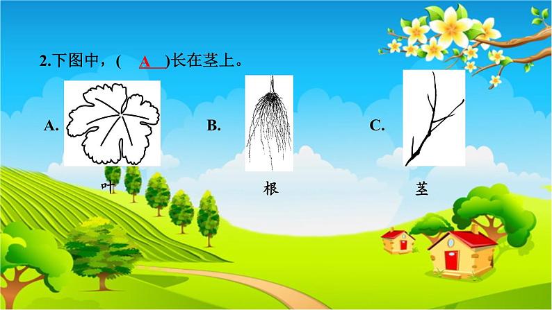 教科版（2017秋）小学科学一年级上册 期中测试卷 作业课件03