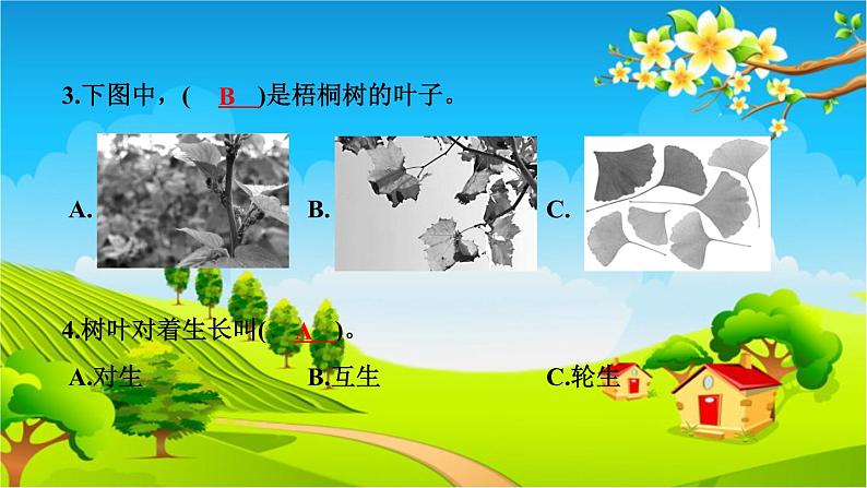 教科版（2017秋）小学科学一年级上册 期中测试卷 作业课件04