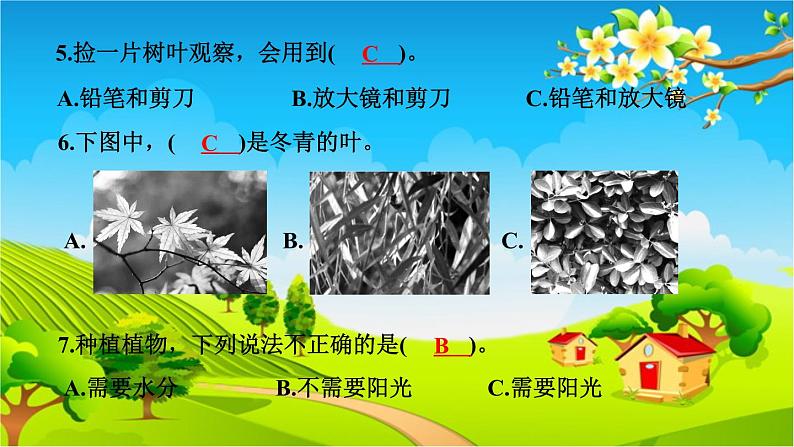 教科版（2017秋）小学科学一年级上册 期中测试卷 作业课件05