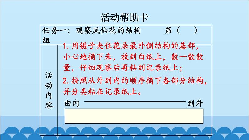 教科版(2017秋)科学四年级下册 第一单元 第五课 凤仙花开花了课件05