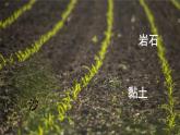 教科版(2017秋)科学四年级下册 第三单元 第五课 岩石、沙和黏土课件