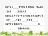 教科版(2017秋)科學(xué)四年級(jí)下冊(cè) 期末復(fù)習(xí)一 植物的生長變化習(xí)題課件
